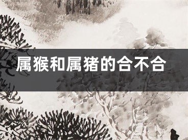 属猴和属猪的合不合