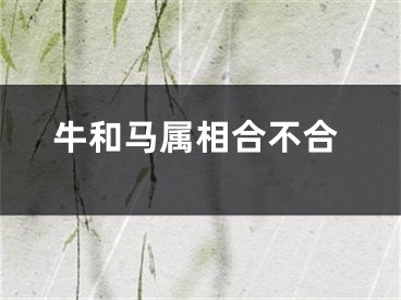 牛和马属相合不合