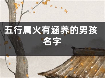 五行属火有涵养的男孩名字