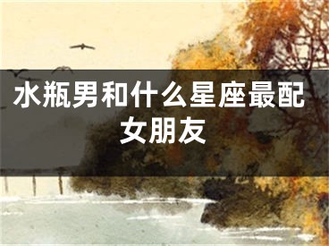 水瓶男和什么星座最配女朋友