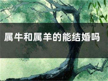 属牛和属羊的能结婚吗