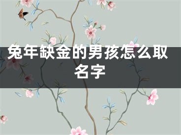 兔年缺金的男孩怎么取名字