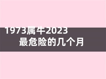 1973属牛2023最危险的几个月