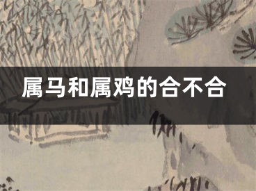 属马和属鸡的合不合