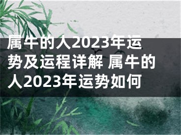 属牛的人2023年运势及运程详解 属牛的人2023年运势如何