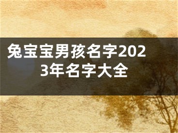 兔宝宝男孩名字2023年名字大全