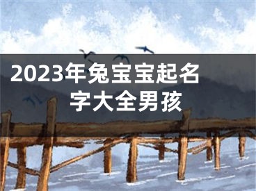 2023年兔宝宝起名字大全男孩