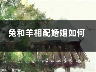 兔和羊相配婚姻如何