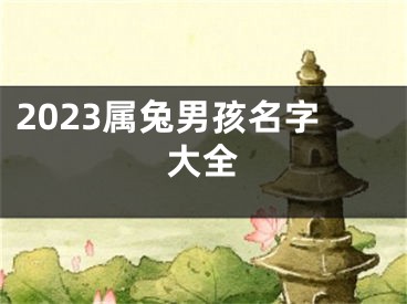2023属兔男孩名字大全