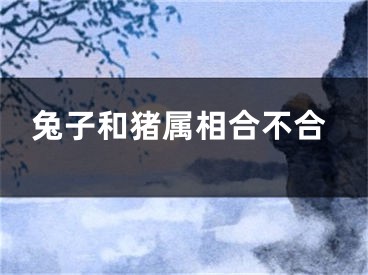 兔子和猪属相合不合