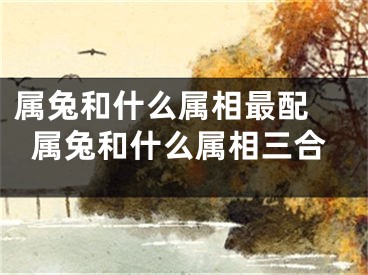 属兔和什么属相最配 属兔和什么属相三合