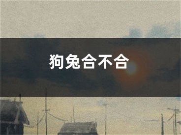 狗兔合不合