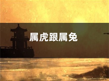 属虎跟属兔