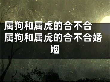 属狗和属虎的合不合 属狗和属虎的合不合婚姻