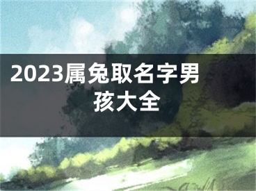 2023属兔取名字男孩大全