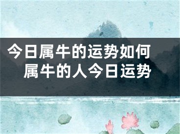 今日属牛的运势如何 属牛的人今日运势