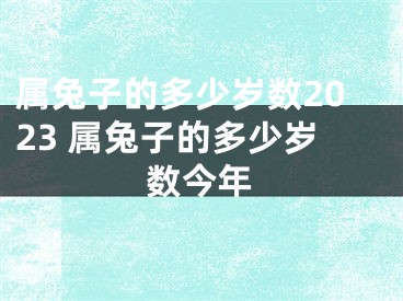 属兔子的多少岁数2023 属兔子的多少岁数今年