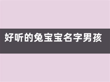 好听的兔宝宝名字男孩