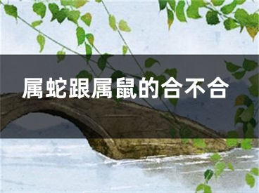 属蛇跟属鼠的合不合