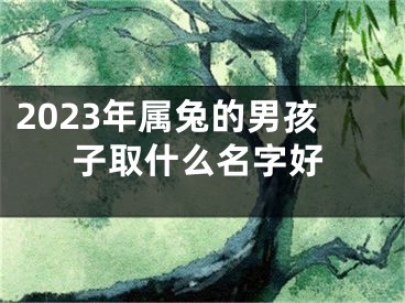2023年属兔的男孩子取什么名字好