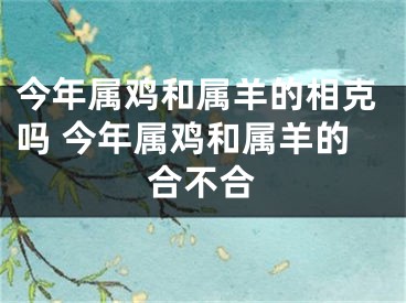 今年属鸡和属羊的相克吗 今年属鸡和属羊的合不合
