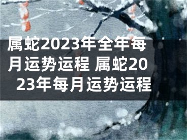 属蛇2023年全年每月运势运程 属蛇2023年每月运势运程