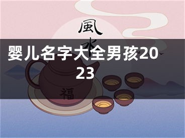 婴儿名字大全男孩2023