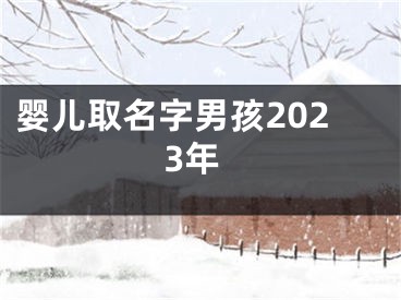 婴儿取名字男孩2023年