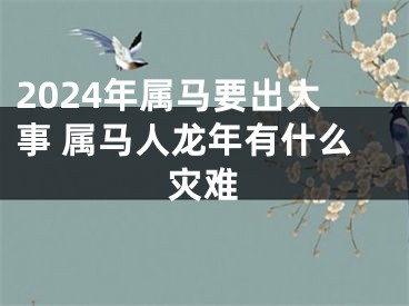 2024年属马要出大事 属马人龙年有什么灾难