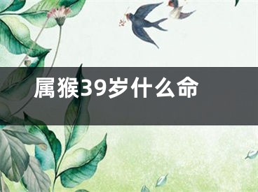 属猴39岁什么命