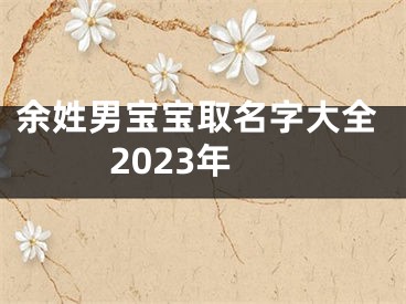 余姓男宝宝取名字大全2023年