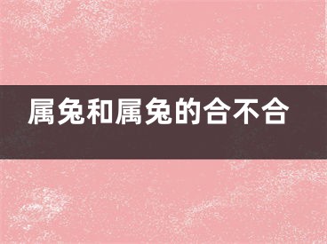 属兔和属兔的合不合