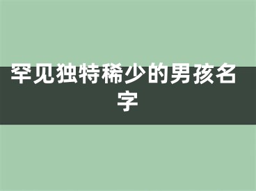 罕见独特稀少的男孩名字