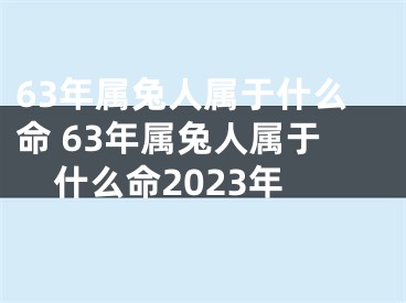 63年属兔人属于什么命 63年属兔人属于什么命2023年