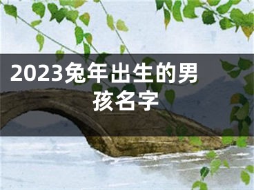 2023兔年出生的男孩名字