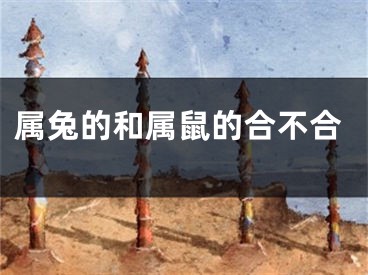 属兔的和属鼠的合不合