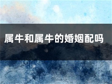属牛和属牛的婚姻配吗