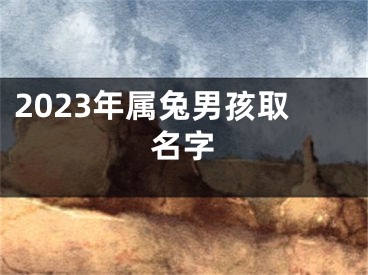 2023年属兔男孩取名字