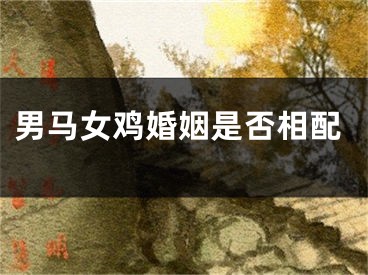 男马女鸡婚姻是否相配