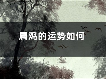 属鸡的运势如何