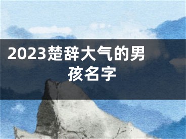 2023楚辞大气的男孩名字
