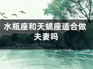 水瓶座和天蝎座适合做夫妻吗