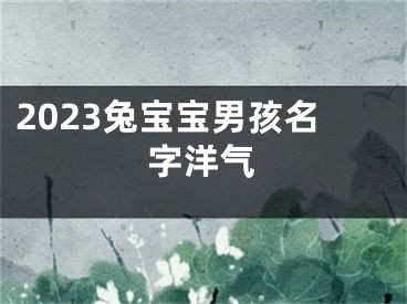 2023兔宝宝男孩名字洋气