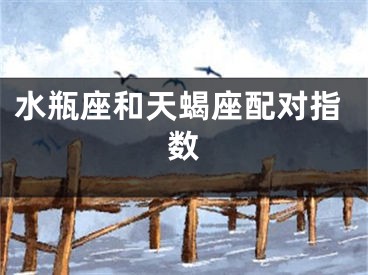 水瓶座和天蝎座配对指数