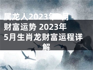 属龙人2023年5月财富运势 2023年5月生肖龙财富运程详解