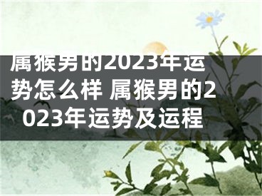 属猴男的2023年运势怎么样 属猴男的2023年运势及运程