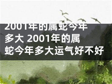 2001年的属蛇今年多大 2001年的属蛇今年多大运气好不好