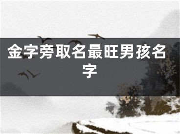 金字旁取名最旺男孩名字