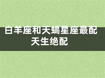 白羊座和天蝎星座最配 天生绝配