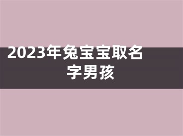 2023年兔宝宝取名字男孩